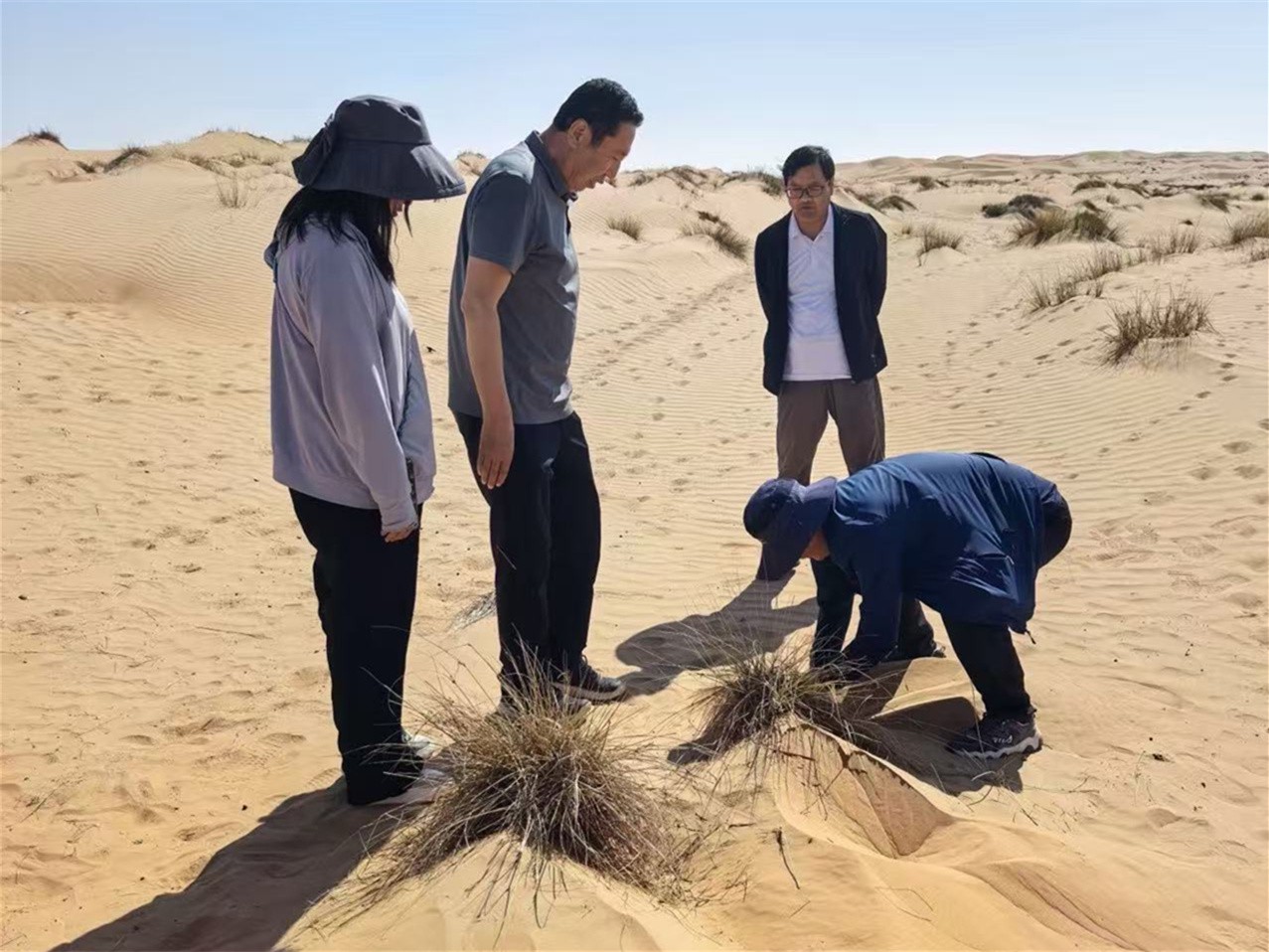 甘肃省治沙研究所承办的阿曼荒漠化防治高级专家顾问项目圆满结束