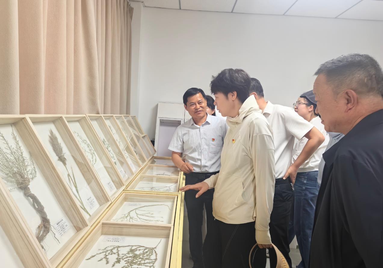 临泽县科学技术局周海瑛局长一行到临泽荒漠生态站考察调研