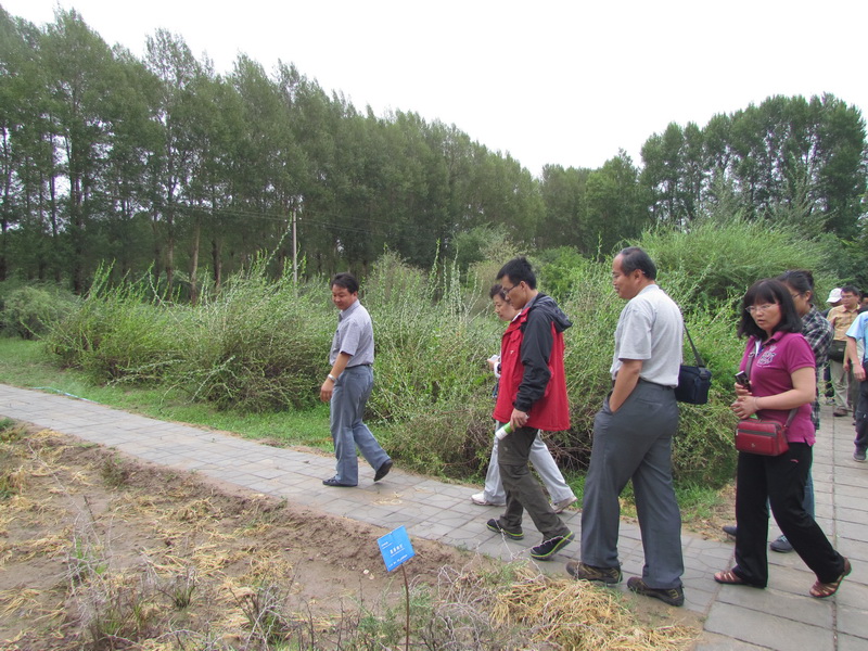 “自然地理学与生态安全学术研讨会”与会专家、学者来民勤沙生植物园考察、学习