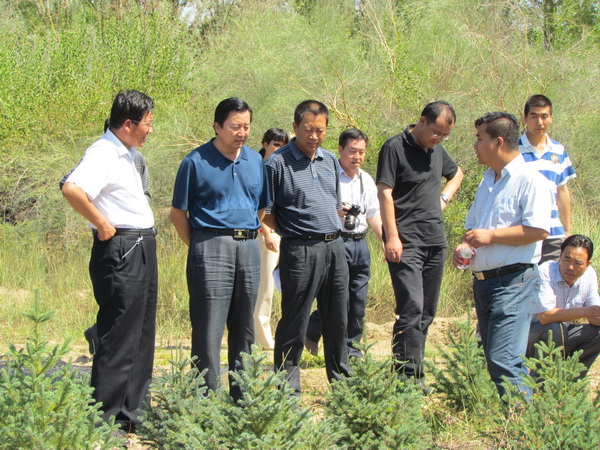 “干旱荒漠区沙地云杉育苗及造林技术研究”项目阶段性执行情况顺利通过省林业厅科技处检查
