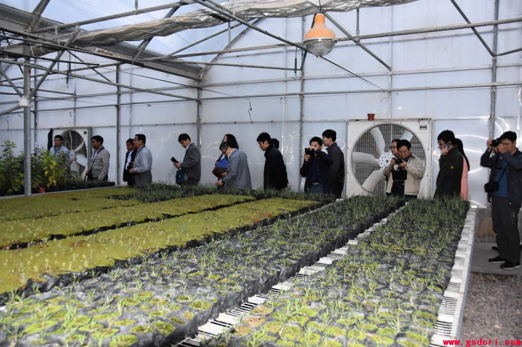 “中国北方林业和荒漠化防治国际学术研讨会”代表来民勤治沙综合试验站考察学习