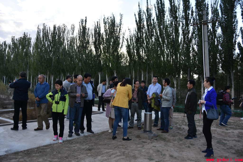 “中国北方林业和荒漠化防治国际学术研讨会”代表来民勤治沙综合试验站考察学习