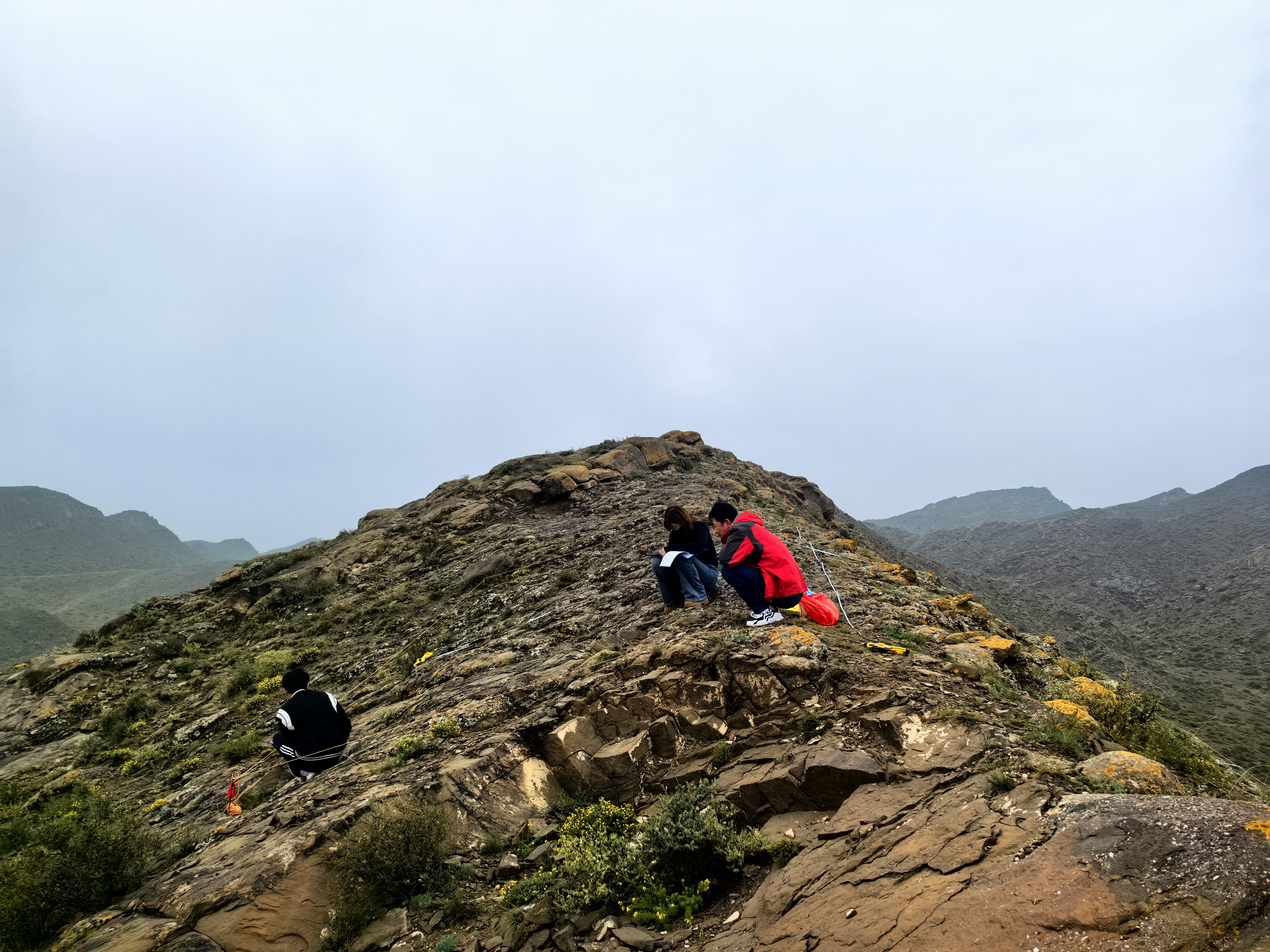 1762843981637148.jpg 1762843981637148.jpg