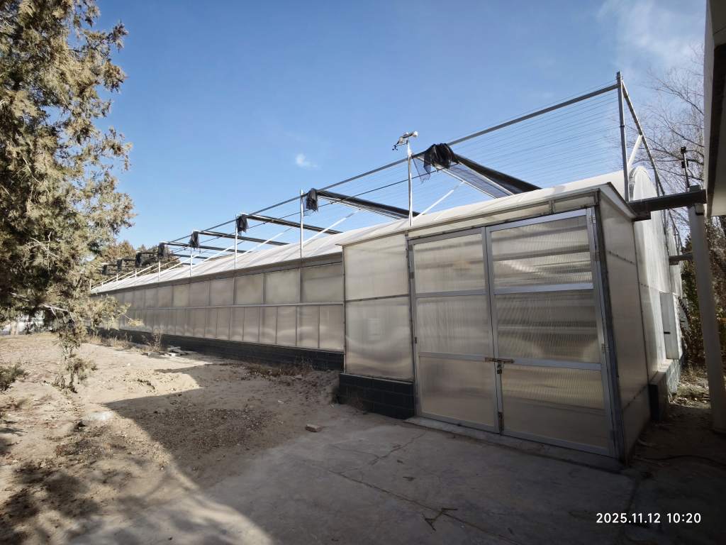 1762947892232518.jpg 1762947892232518.jpg