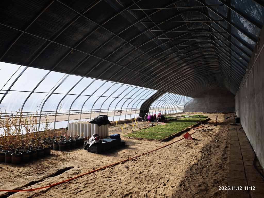 1762947898205527.jpg 1762947898205527.jpg