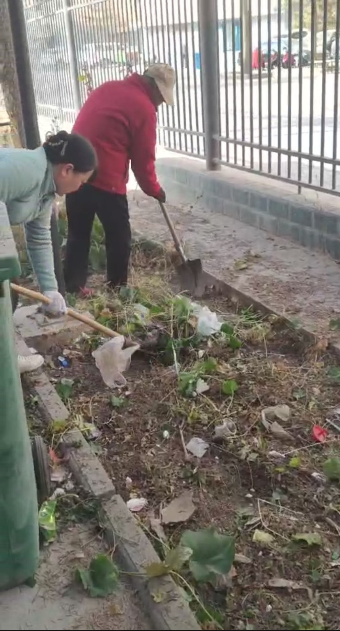 1763429176171126.jpg 1763429176171126.jpg