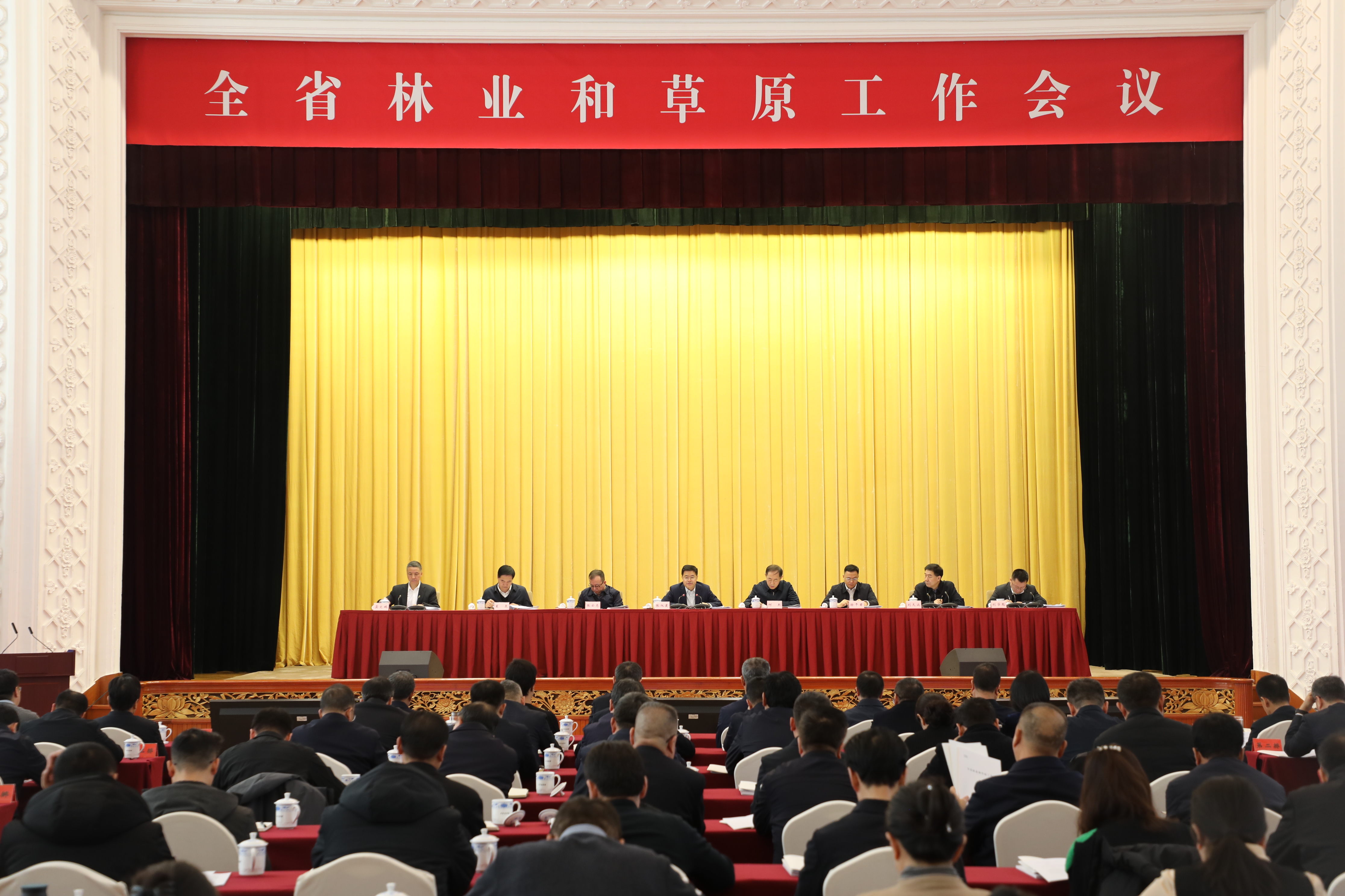 1769998646934899.jpg 1769998646934899.jpg