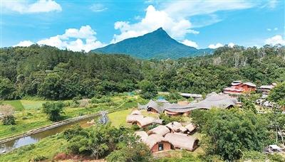 1774229920682395.jpg 1774229920682395.jpg