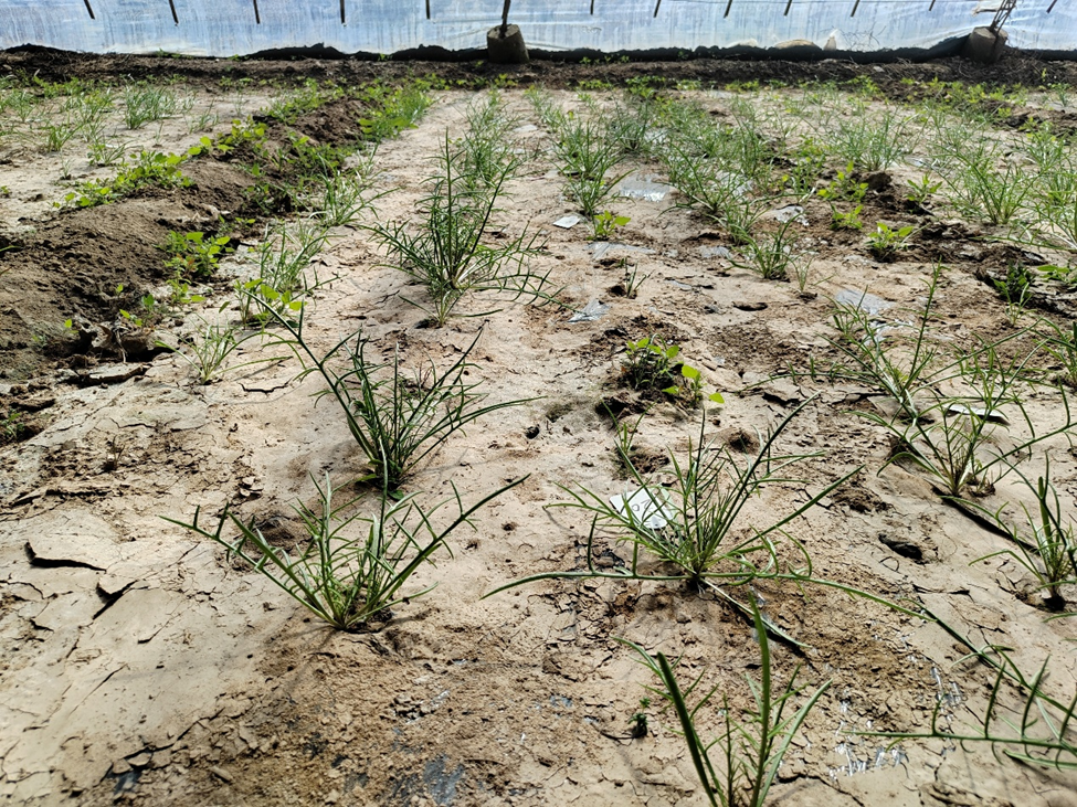 1774942526302750.png 1774942526302750.png