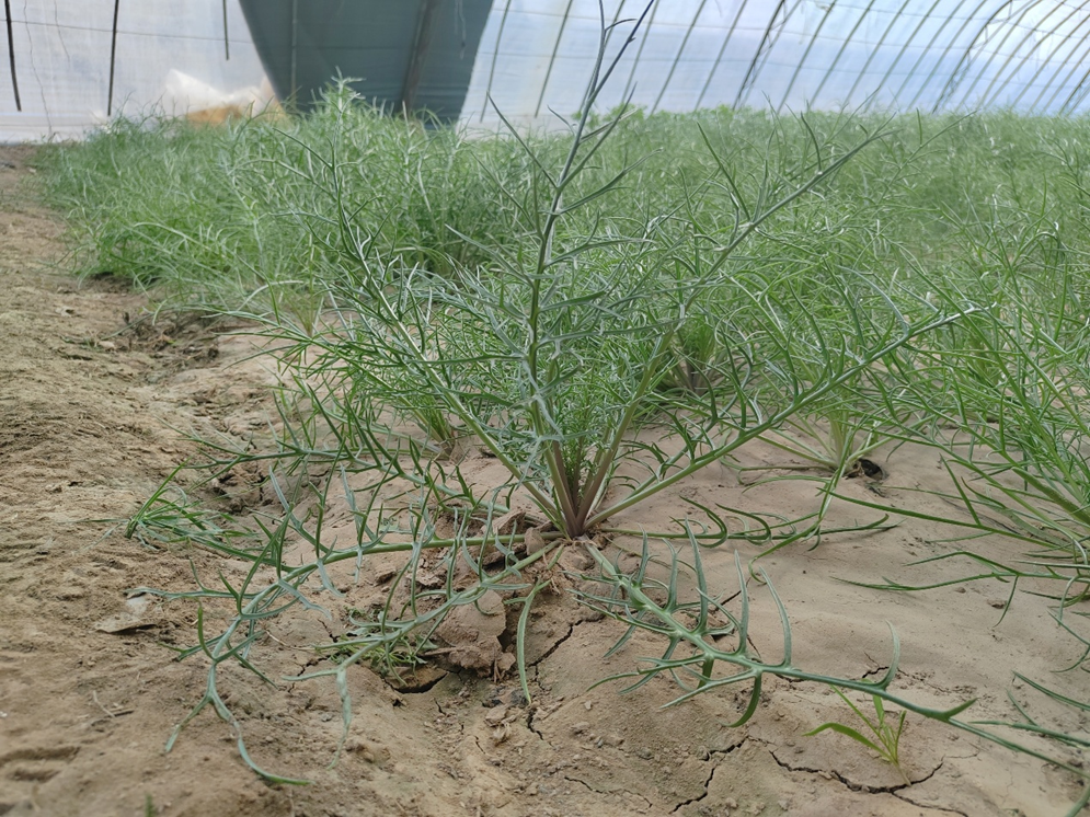 1774942551777984.png 1774942551777984.png