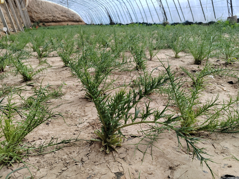 1774942600678107.png 1774942600678107.png